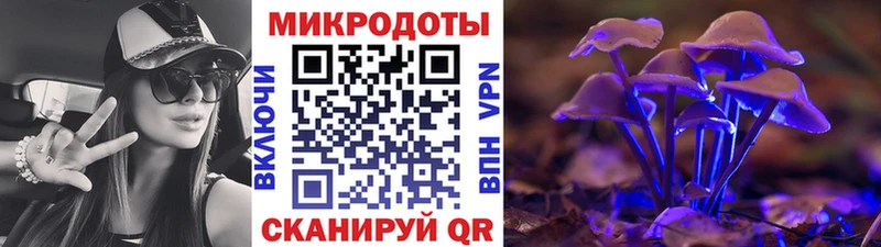 цены   Чадан  Галлюциногенные грибы мицелий 